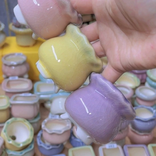 红陶20CM（含）-50CM（不含）