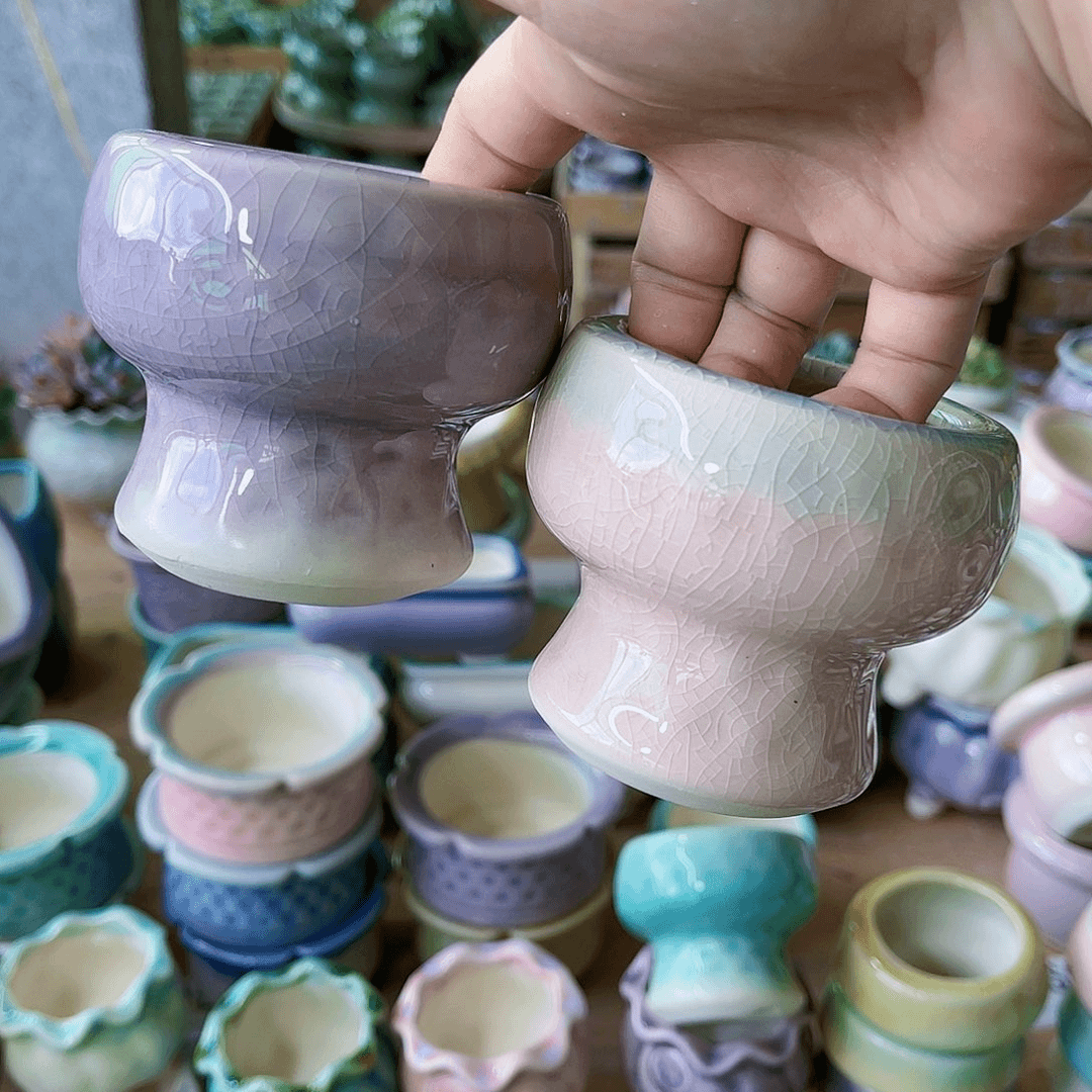 红陶20CM（含）-50CM（不含）