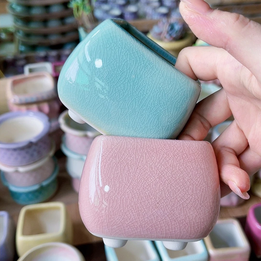 红陶20CM（含）-50CM（不含）