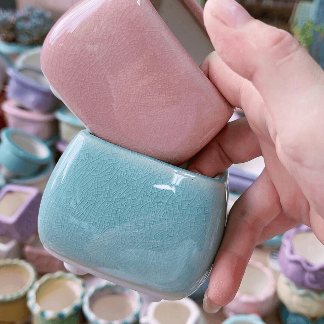 红陶20CM（含）-50CM（不含）