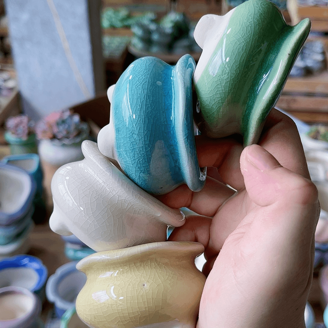 红陶20CM（含）-50CM（不含）