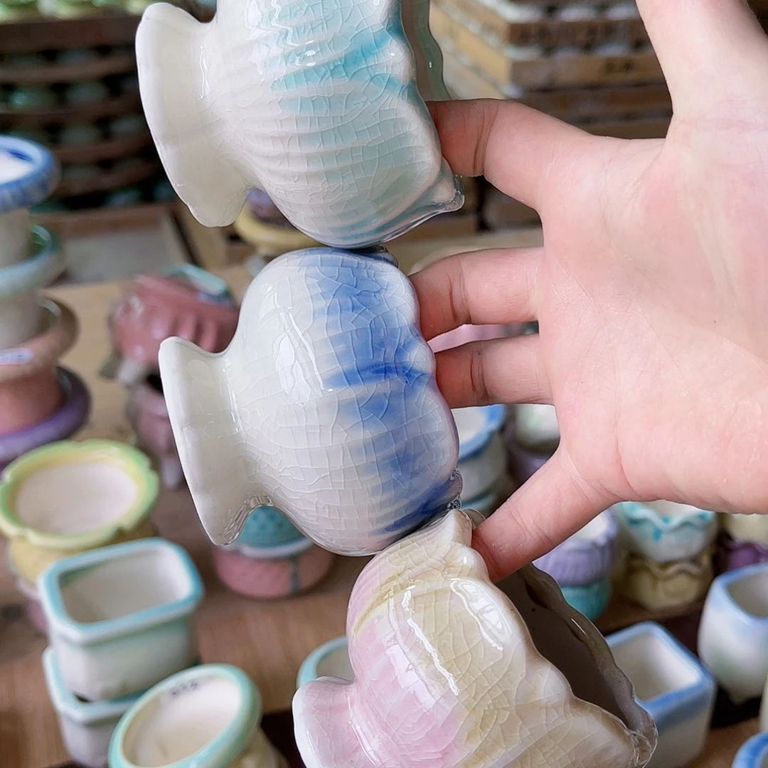 红陶20CM（含）-50CM（不含）