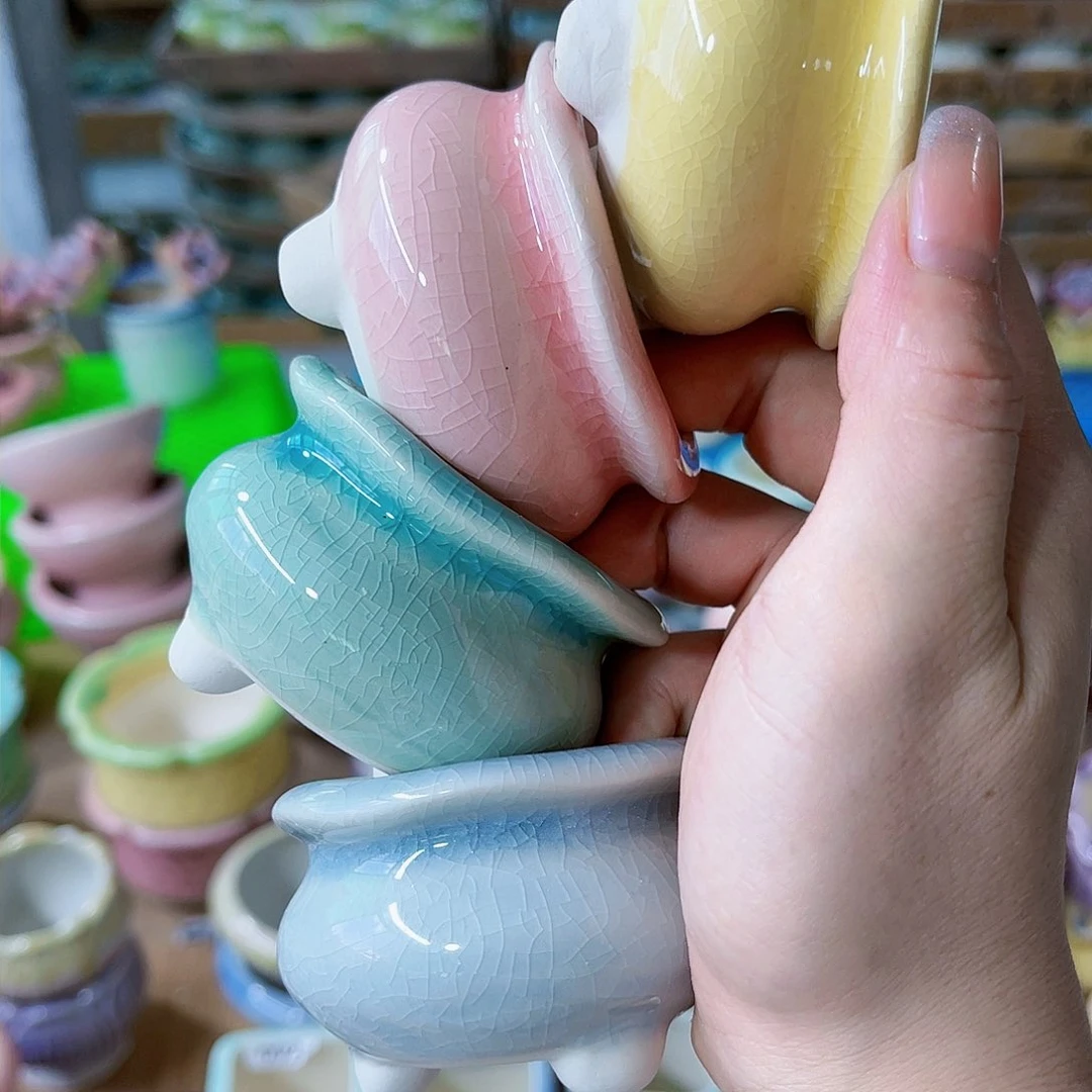 红陶20CM（含）-50CM（不含）