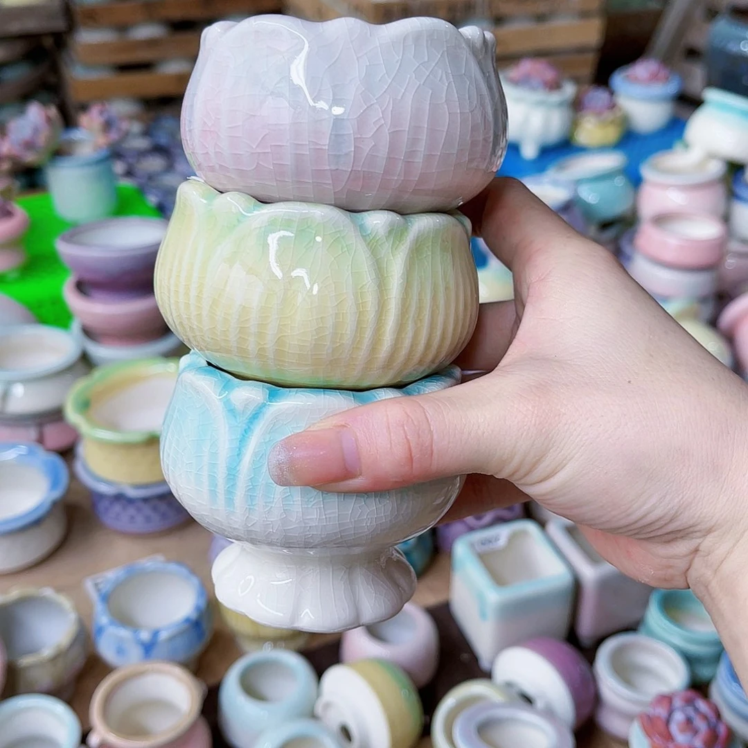 红陶20CM（含）-50CM（不含）