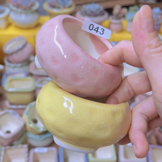 红陶20CM（含）-50CM（不含）