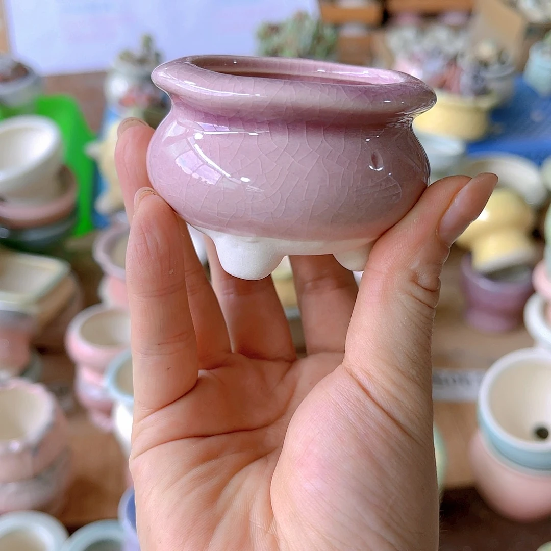 红陶20CM（含）-50CM（不含）