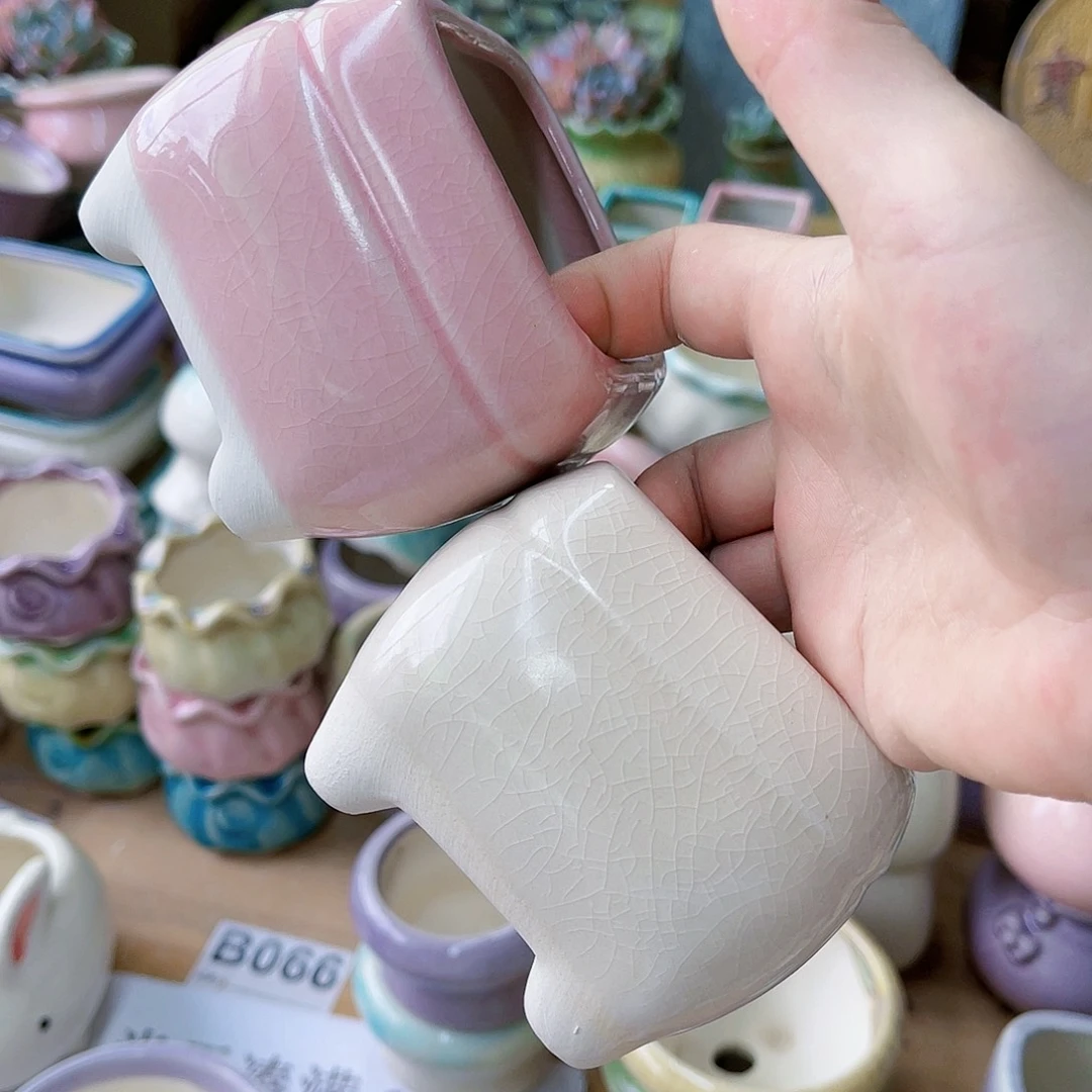 红陶20CM（含）-50CM（不含）