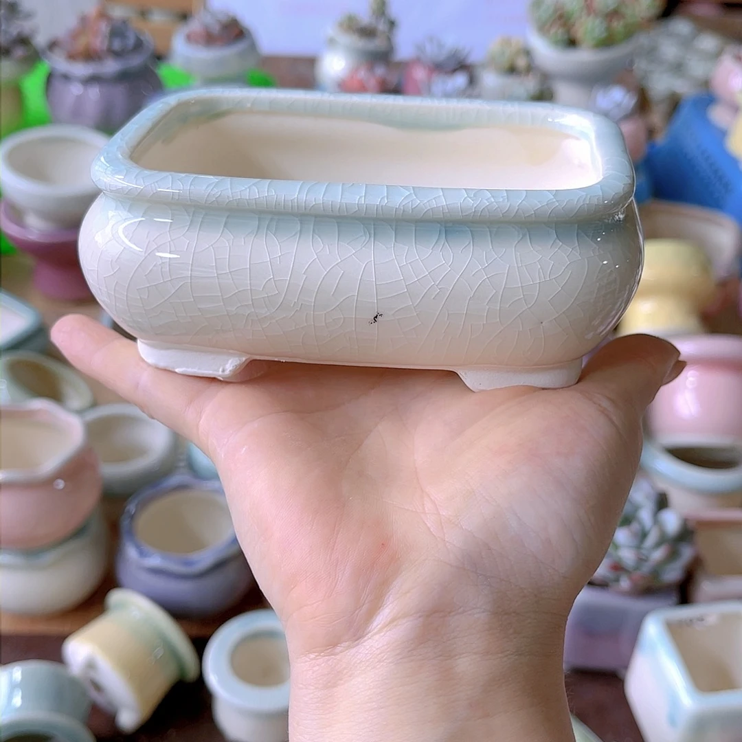 红陶20CM（含）-50CM（不含）大*、