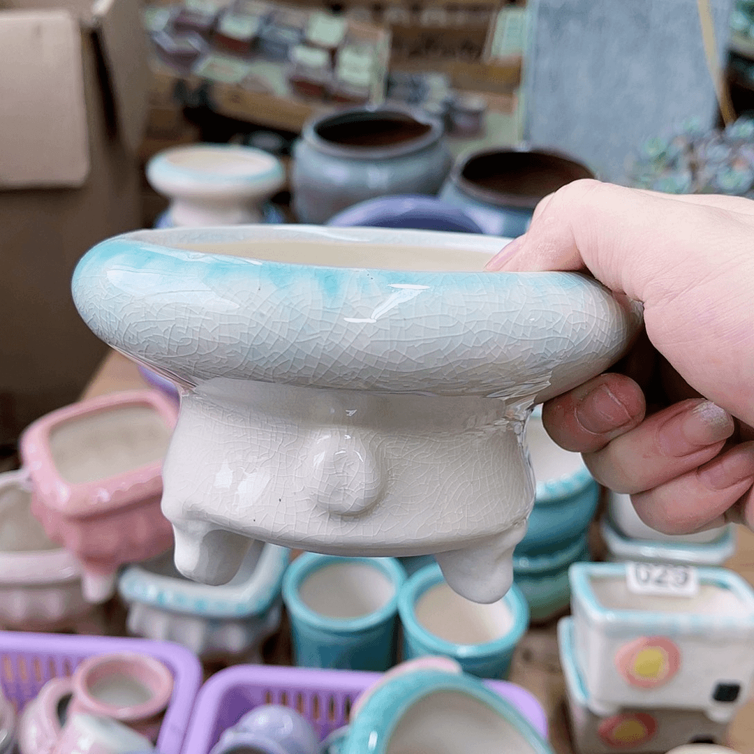 红陶20CM（含）-50CM（不含）