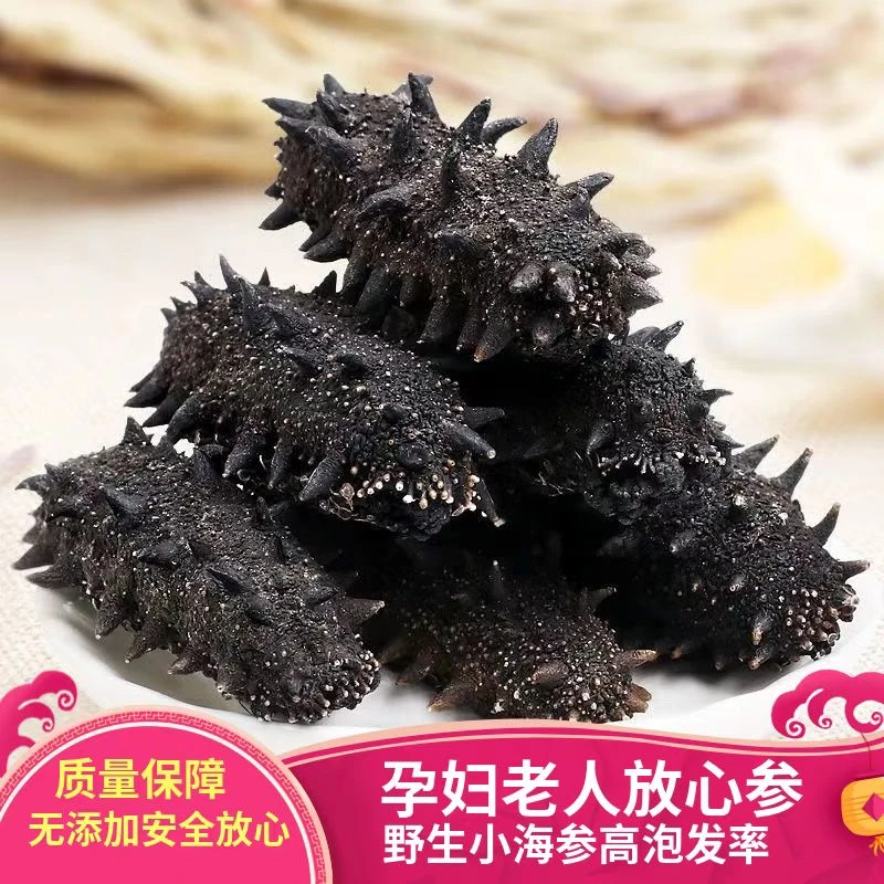 大连底播辽刺参九年参王 【买一斤送试吃一只】（30头左右）