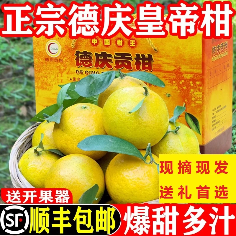 正宗德庆皇帝柑产地直销