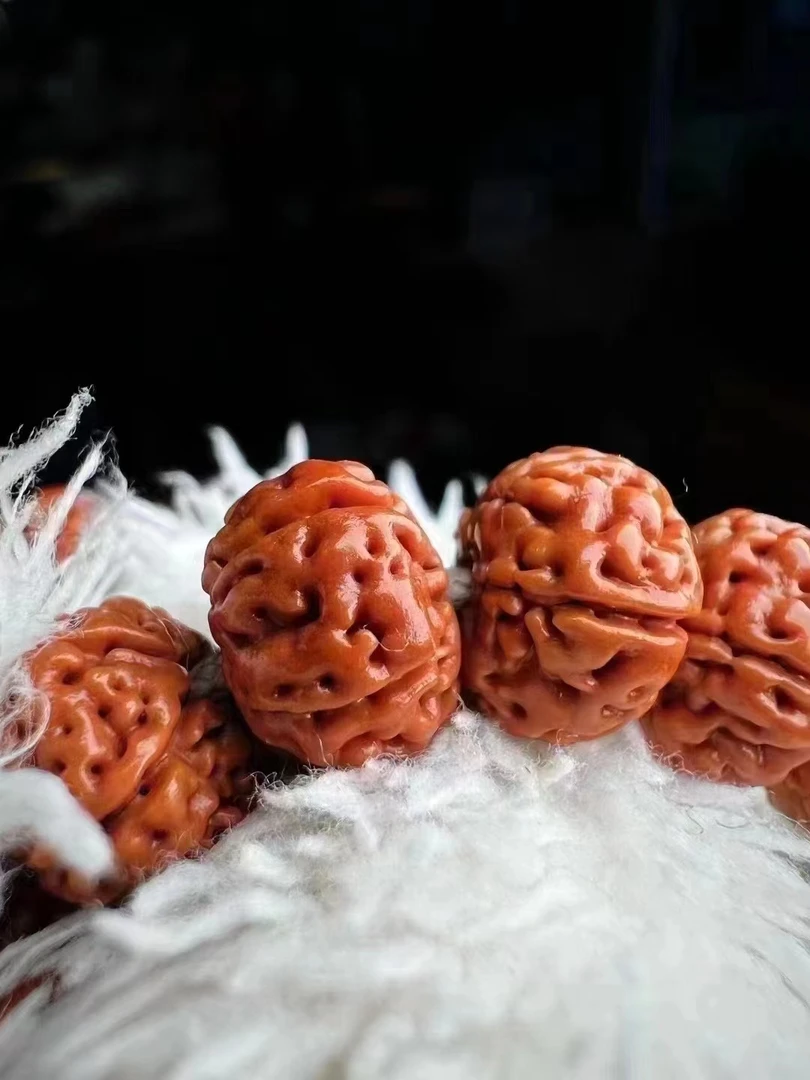 臧福阁 神秘一号 一款菩提小金刚文玩