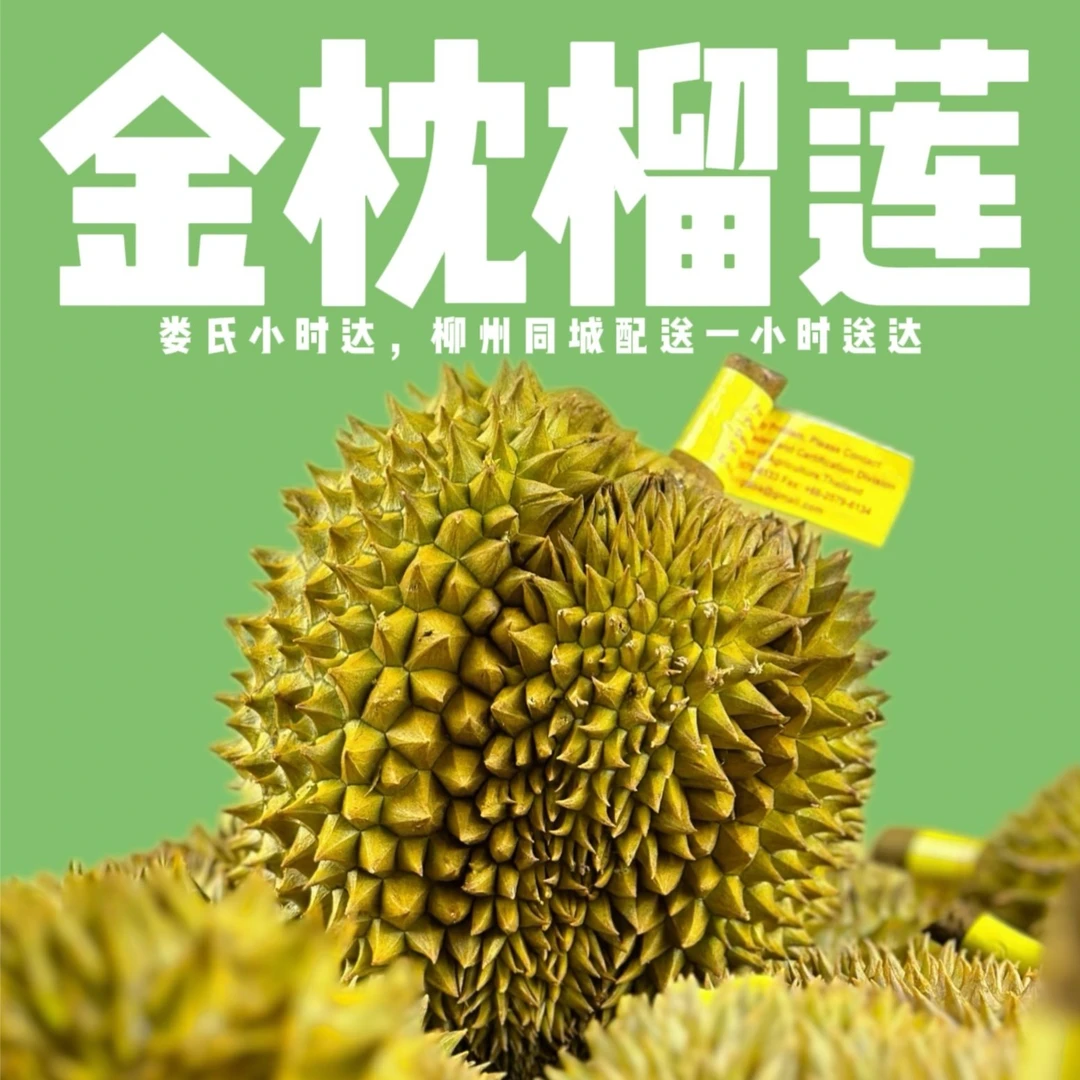 【达万家】柳州同城泰国树熟金枕榴莲