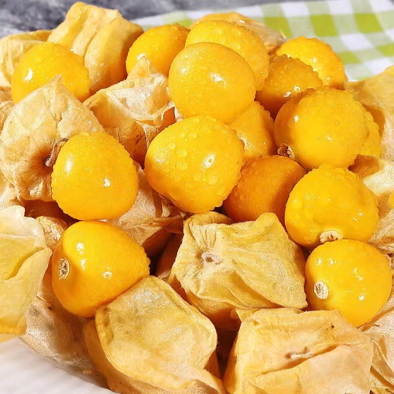 【顺丰快递】东北姑娘果当季新鲜水果黄菇娘灯笼果甜菇娘大小混装