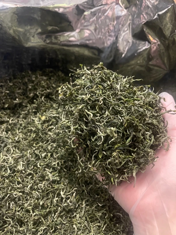 保靖黄金茶绿茶（半斤袋装）