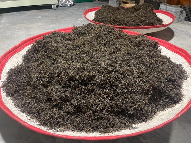 保靖黄金茶红茶#甜香蜜韵，柔和，香甜，回甘持久，耐泡