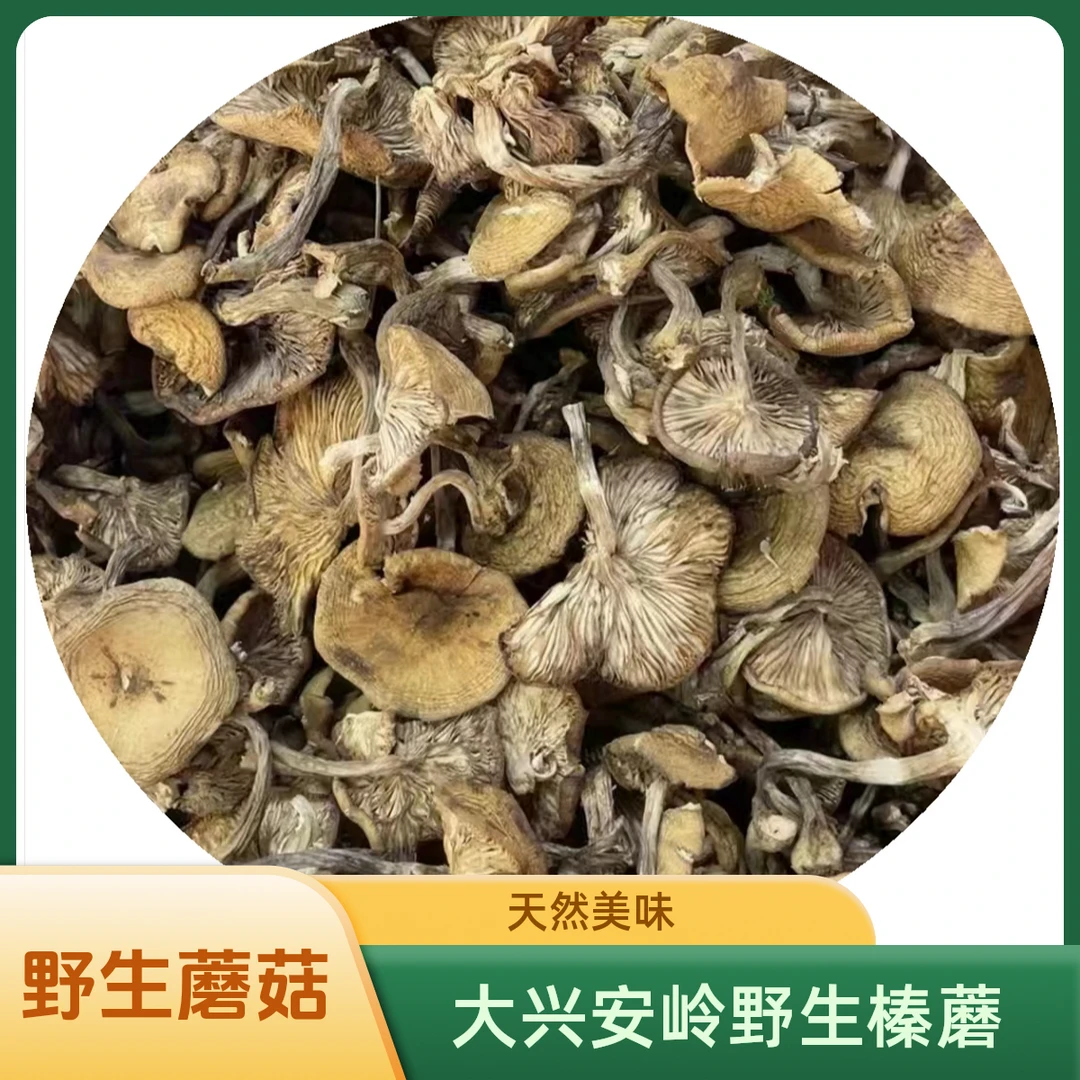 东北大兴安岭榛蘑/土墩蘑/毛尖蘑路基蘑小鸡炖东北正宗榛蘑