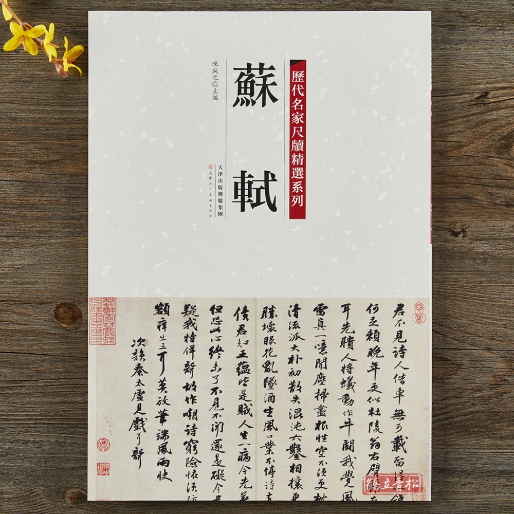 苏轼苏东皮手札墨迹20幅收录繁体旁注字帖行书草书毛笔书法字帖