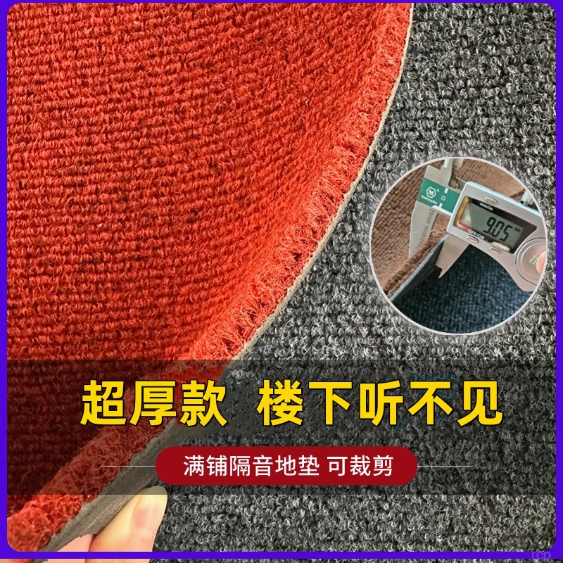 可裁剪地毯进门地垫门垫门厅玄关吸水防滑垫走廊隔音卧室家用定制