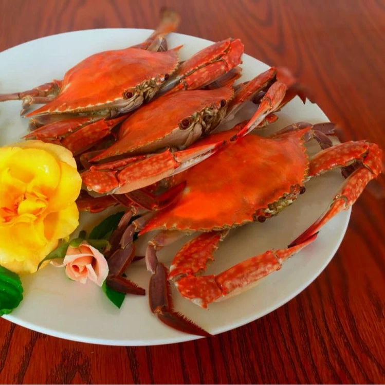 【保鲜不保活】渤海湾大肉母蟹有黄没籽3-5两左右一只3斤起拍