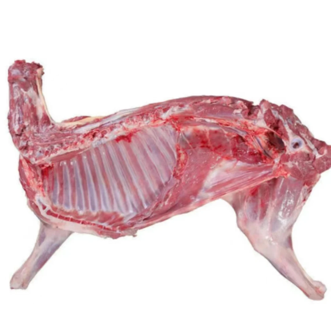 锡林浩特  散养 新鲜羔羊  全羊组合鲜嫩烧烤 可切割 箱装10kg