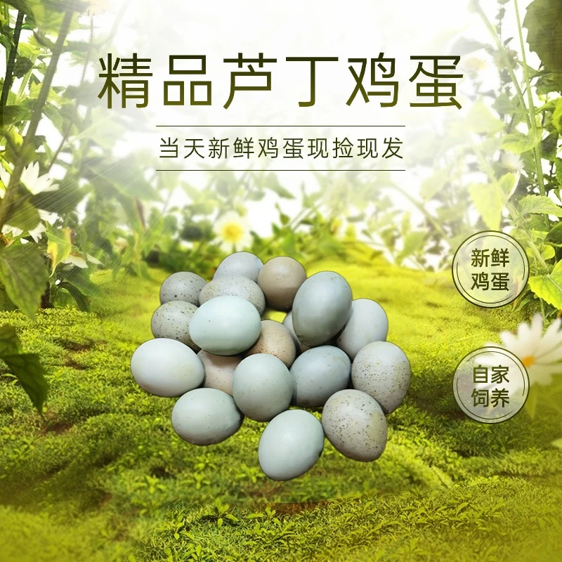 芦丁鸡蛋全色德系纯白三色农家新鲜网红迷你小鸡蛋健康食用农产品