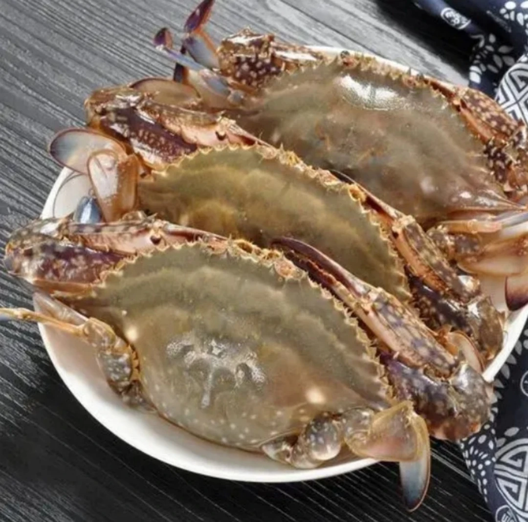 鲜活梭子蟹3只约450-550/份