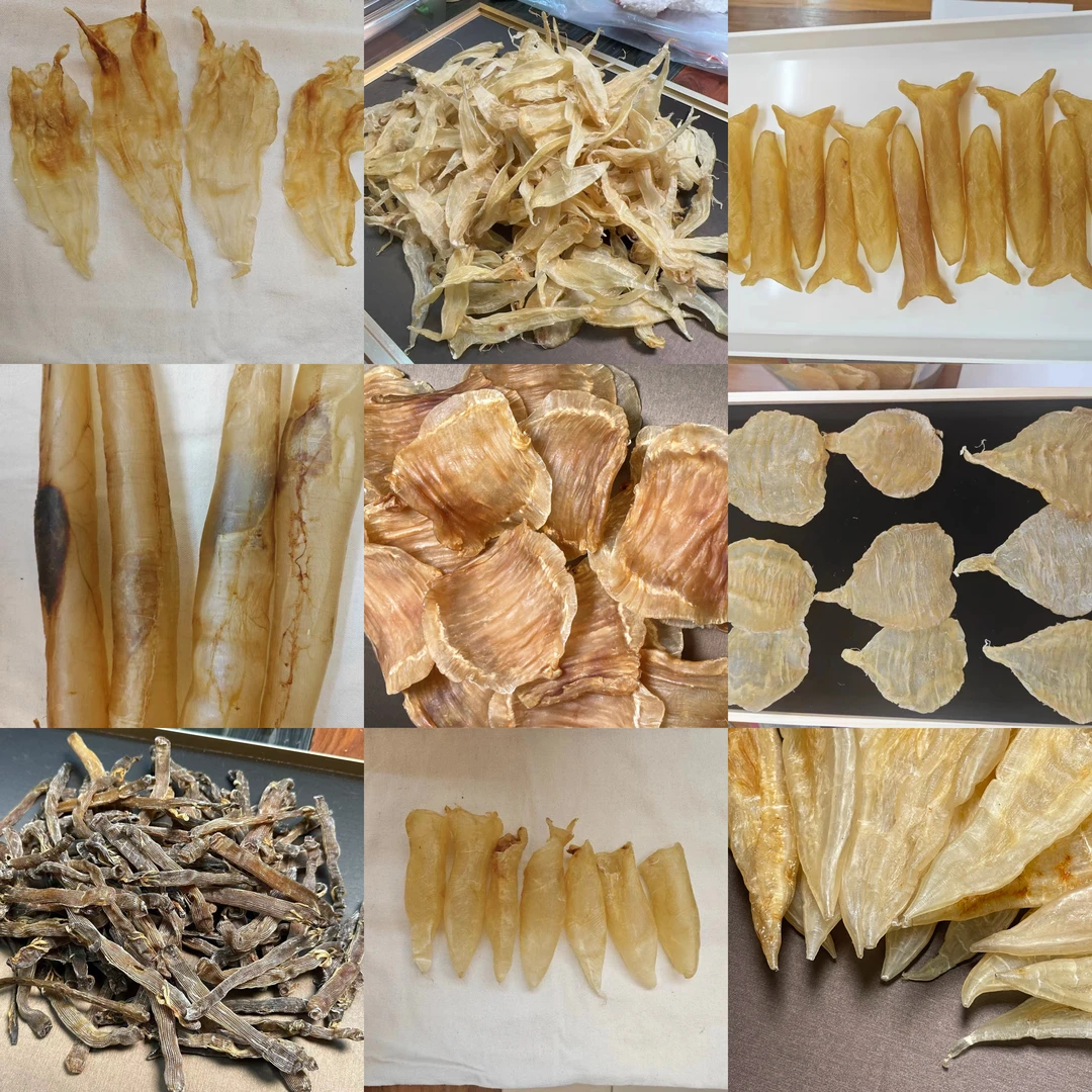 海之珍花胶综合链接