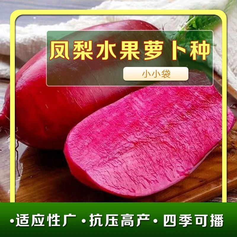 3种萝卜种子套餐组合 四季播种萝卜 农家萝卜庭院种植