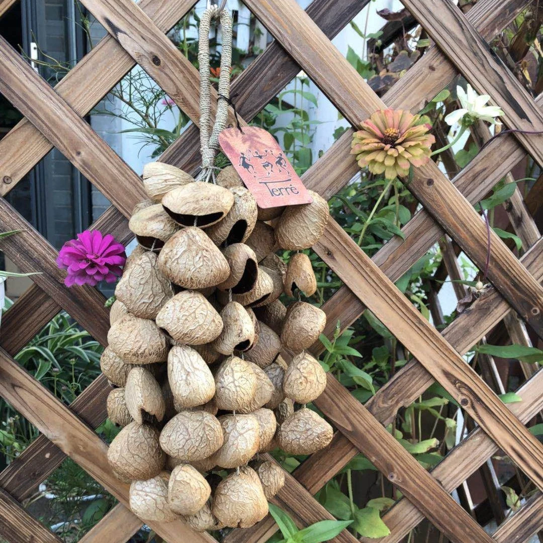 TERRE德瑞果实串非洲手链脚链手铃摇铃超大串果实风铃排铃音束