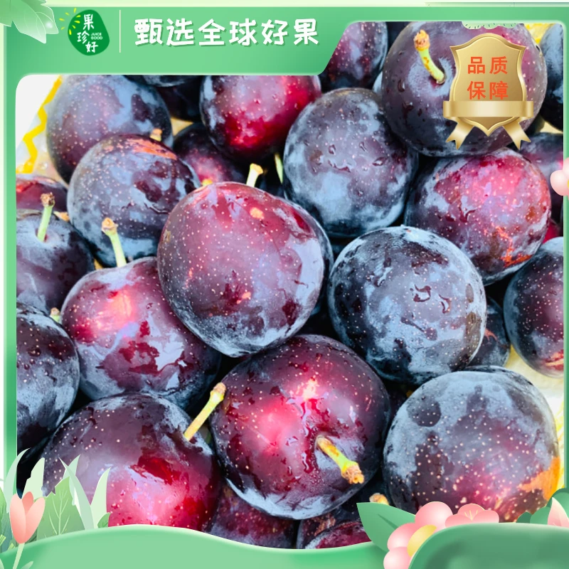 樱桃李【约500克/份】-福州小时达