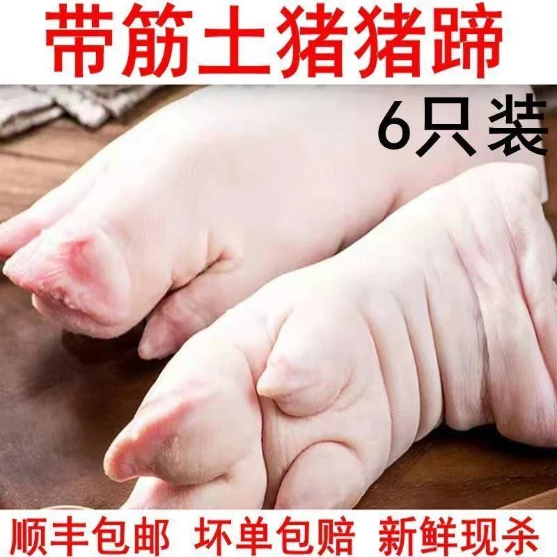 【带筋6只装】农家土肉猪蹄现杀新鲜猪蹄子猪蹄生前蹄后蹄批发