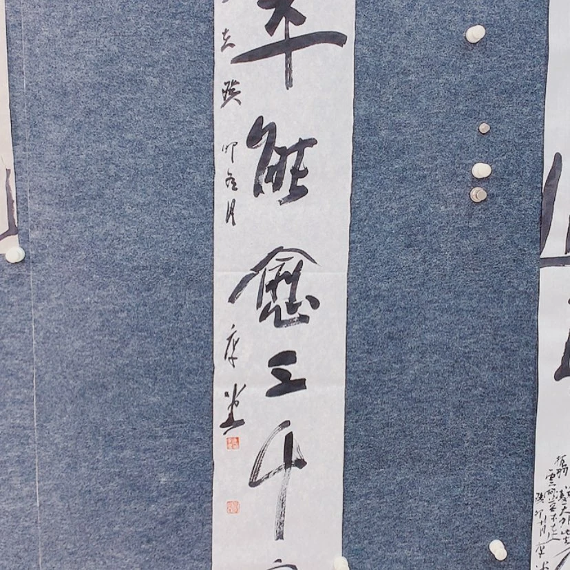 【闪购商品】书法菊*泉石家庄