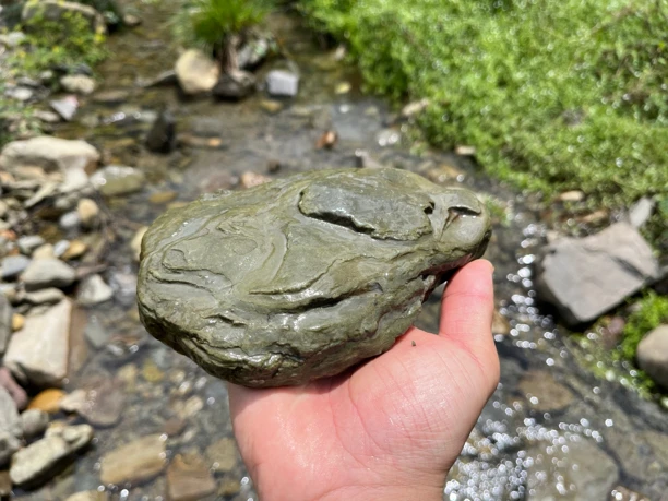 原生溪流缸溪流石片岩页岩龟趴台直播间一物鱼缸造景全套