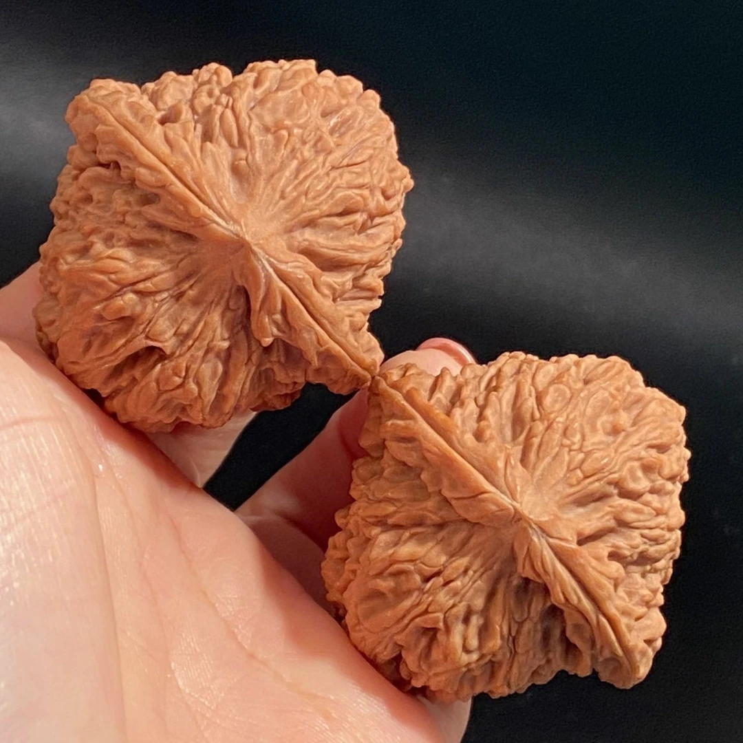 逐鹿南疆石文玩核桃 骨质好成熟度高