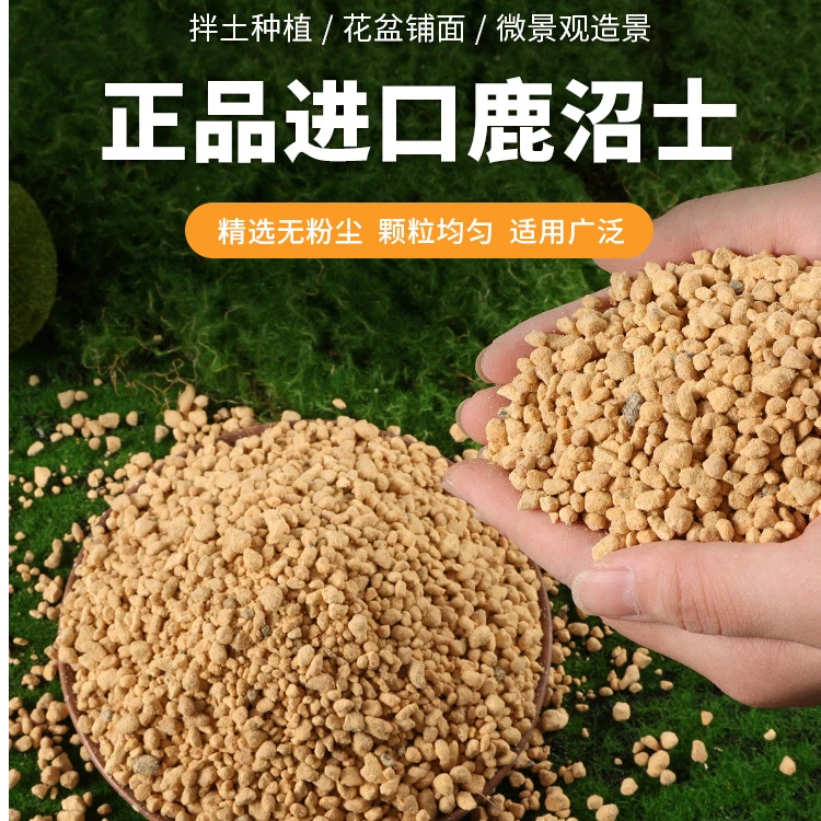 鹿沼石多肉铺面杜鹃专用微酸性盆栽鹿沼土颗粒种植营养土格桑花