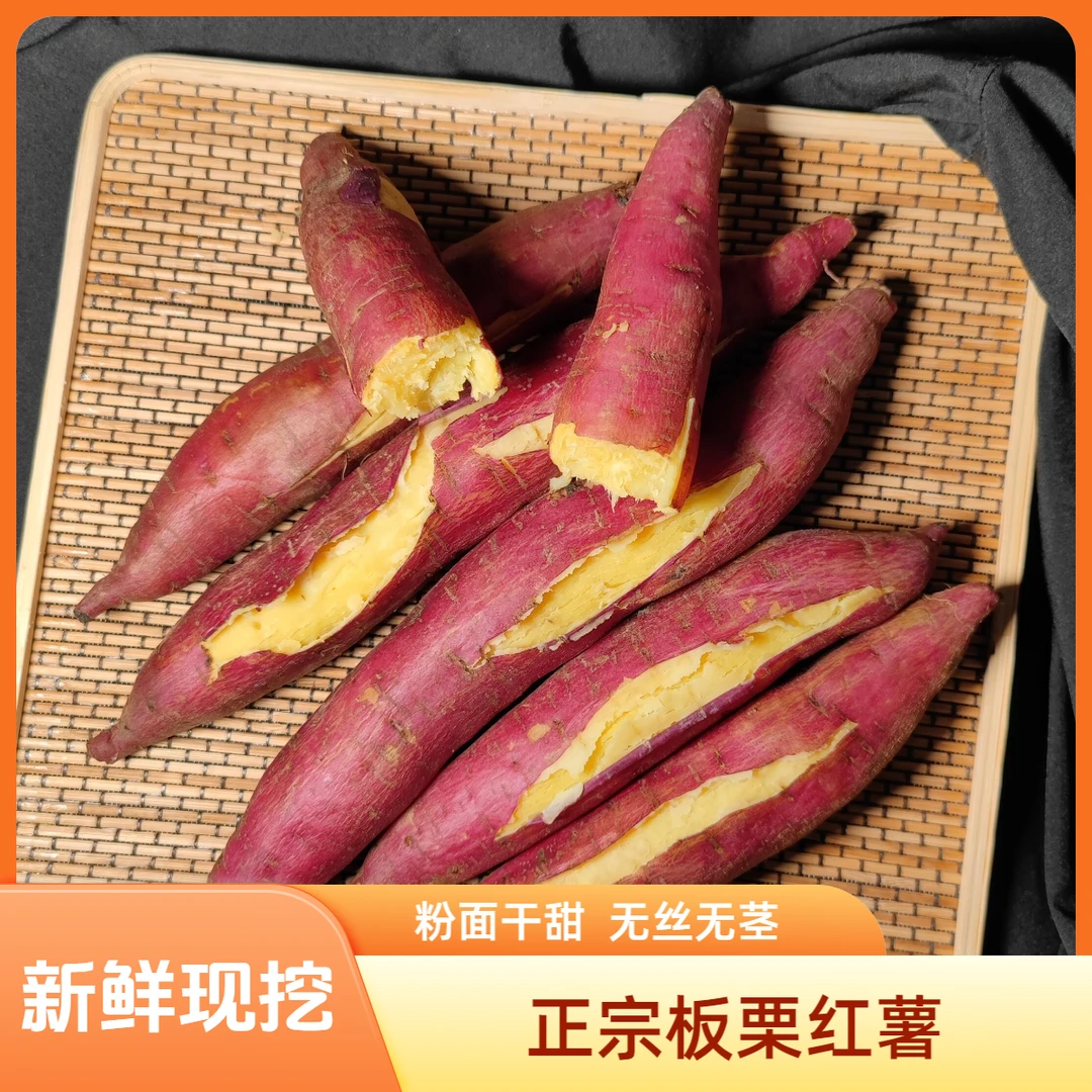 陕西正宗板栗红薯5-9斤新鲜现挖粉面干甜小番薯农家地瓜2