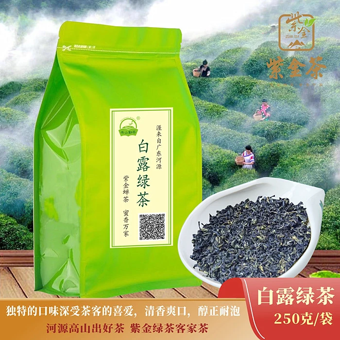 白露绿茶250g袋装河源高山云雾茶紫金茶叶客家茶农家嫩芽醇香回甘