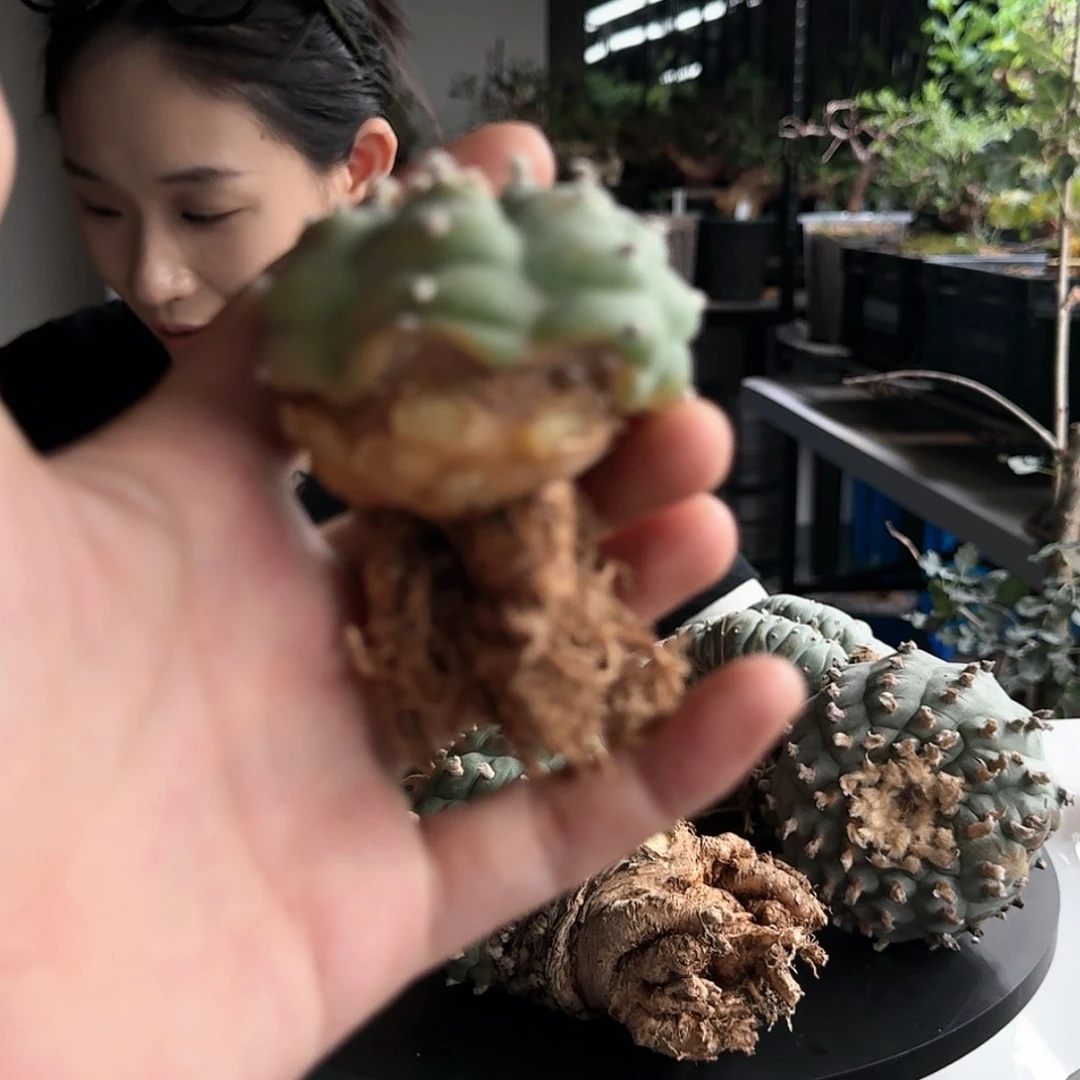 【闪购商品】B****a定闪福利73838