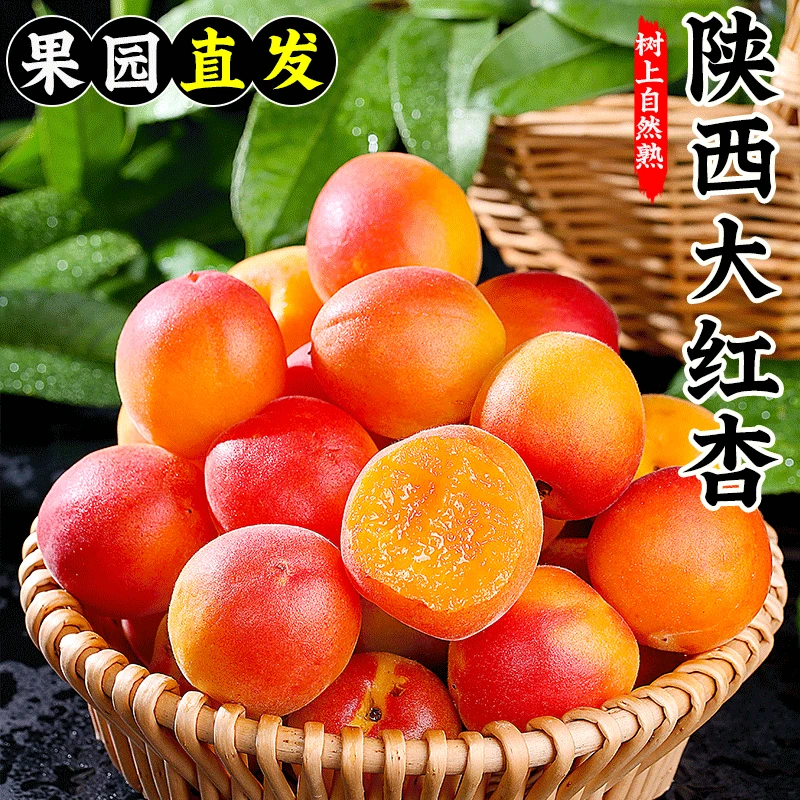 陕西粉黛胭脂红杏贵妃红杏甜杏4斤杏子大果当季水果酸甜脆黄蜜杏
