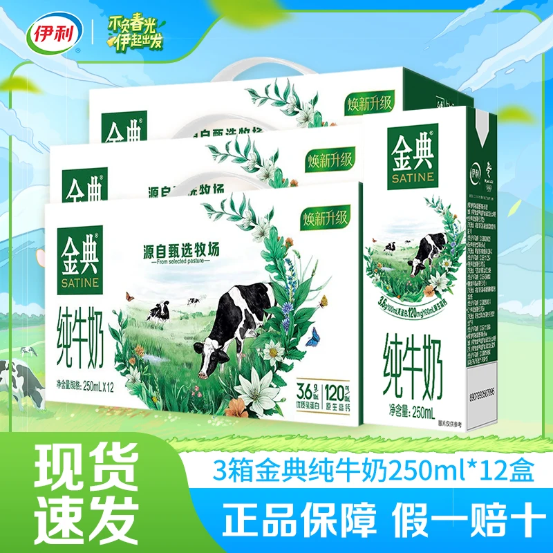 6月金典纯牛奶250ml/纯牛奶250ml整箱中秋送礼早餐牛奶