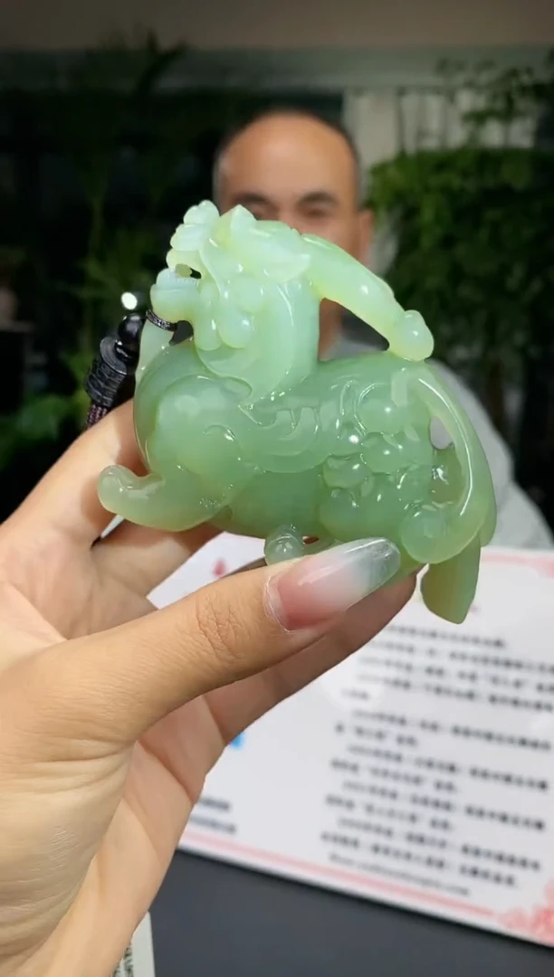 【闪购商品】和田玉颈饰未镶嵌c313