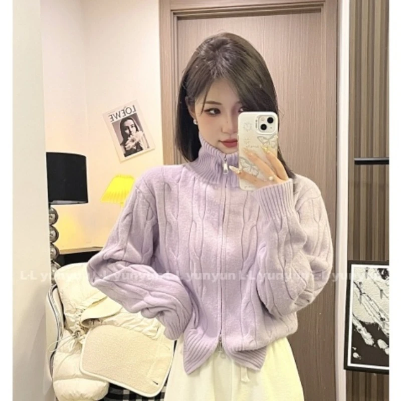 高级感立领坑条毛衣女2024秋冬新款拉链针织开衫时尚百搭短外套女