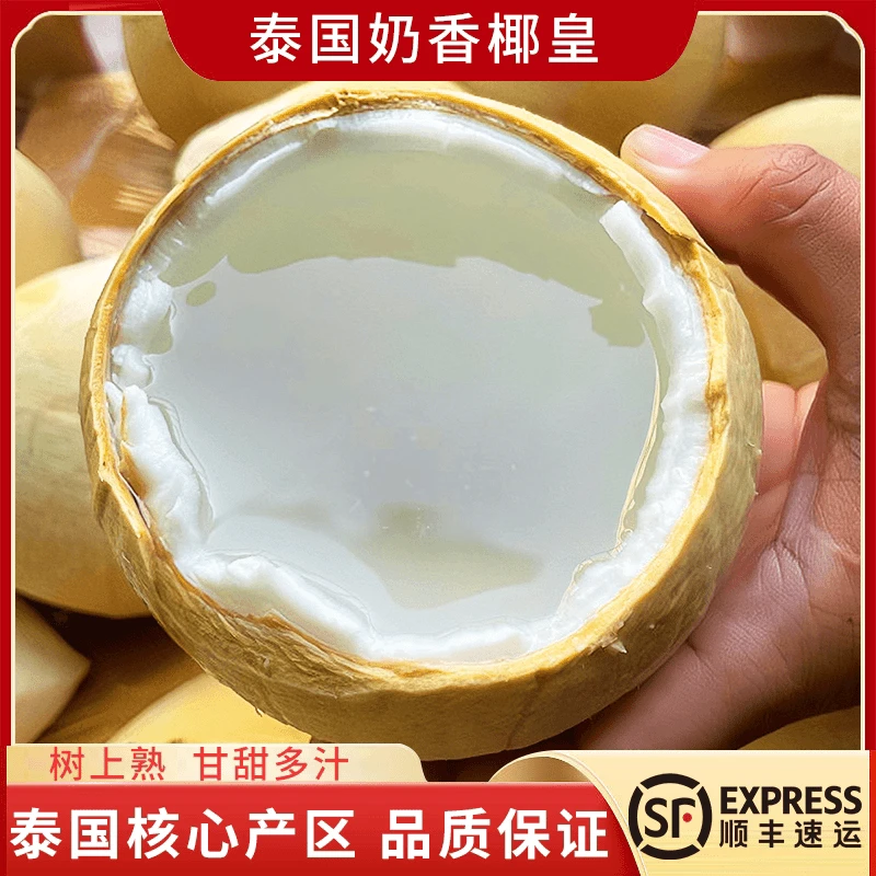 【顺丰包邮】泰国丹嫩沙多椰皇/椰青/大果6/10颗装【单果270-700g颗】