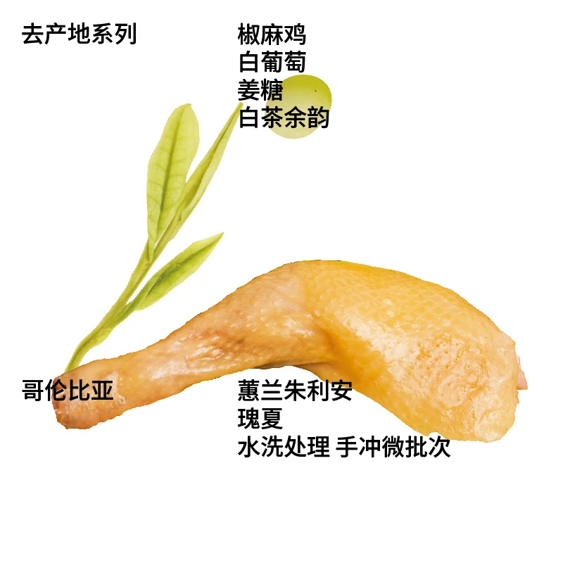 治光师哥伦比亚蕙兰朱利安瑰夏水洗处理手冲微批次咖啡豆100g