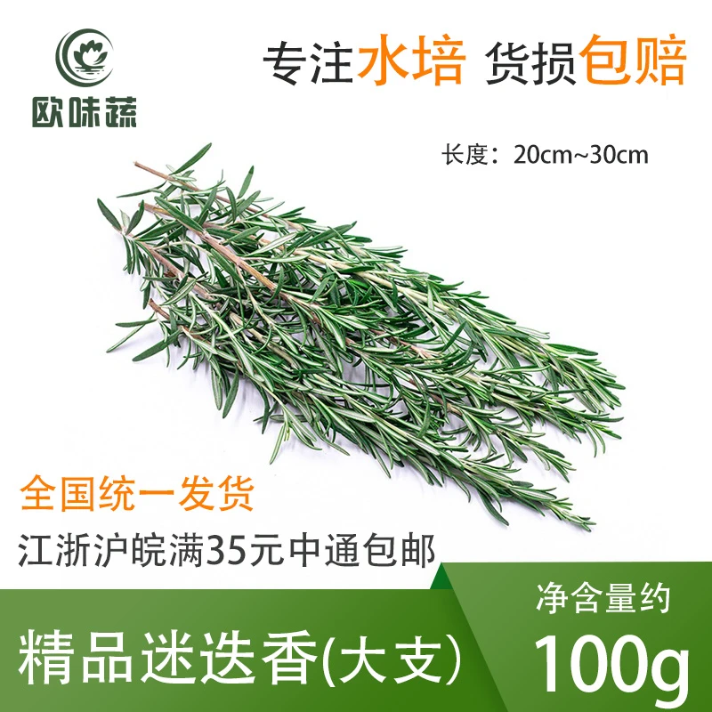 新鲜迷迭香20g~100g 西餐用香料蛋糕鸡尾酒装饰