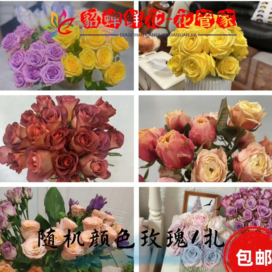 鲜花 10支粉荔枝+1把微光泡泡玫瑰  不支持已发货退款