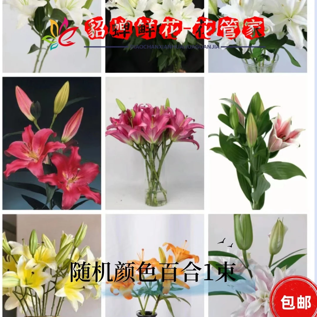 鲜花  10支1头热爱香水百合  生鲜不支持已发货退款zm