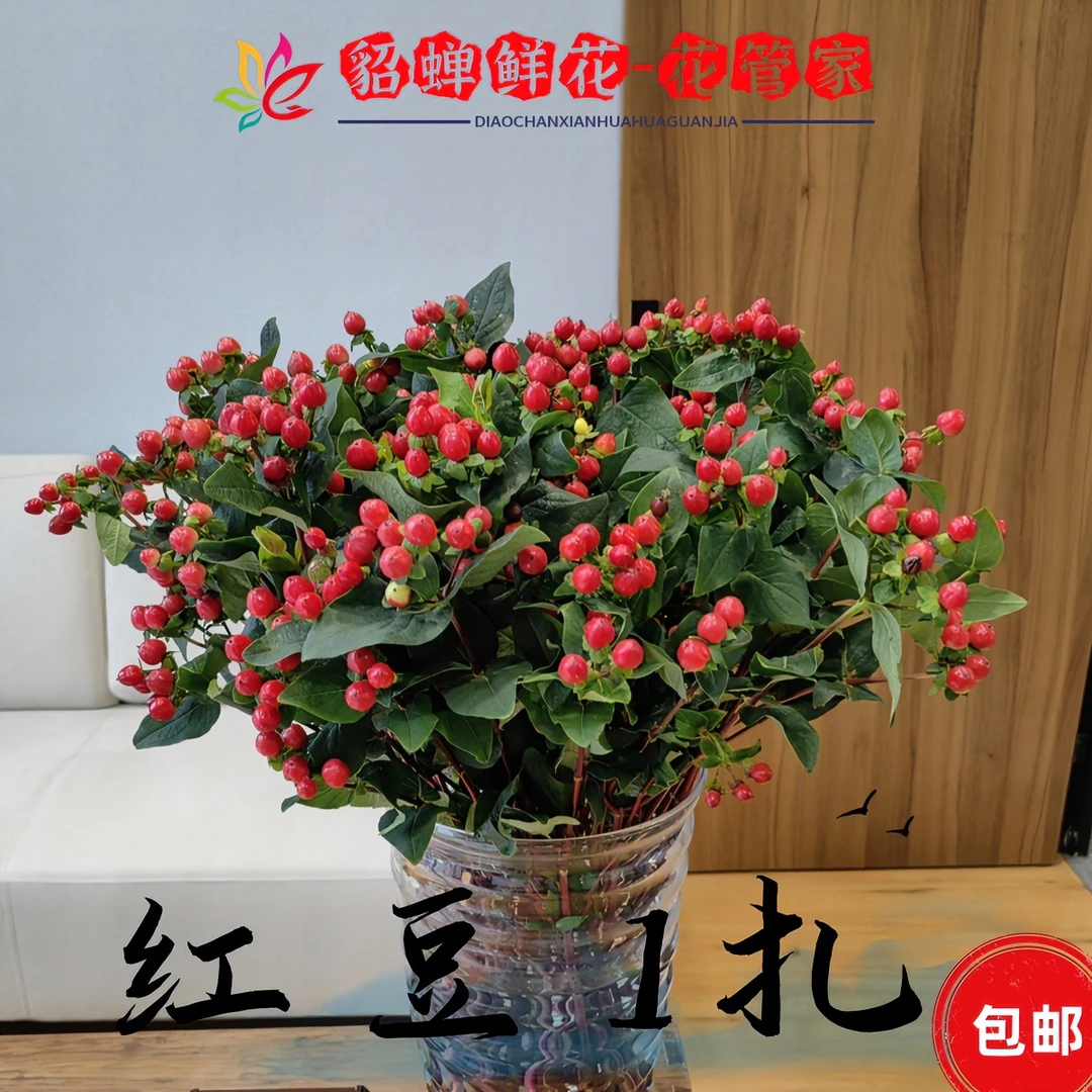 鲜花 2把红豆  不支持已发货退款