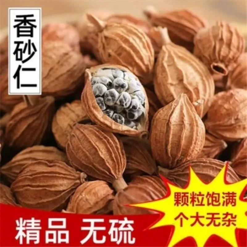 砂仁正宗香砂仁调料大全沙仁粉香沙仁川沙仁